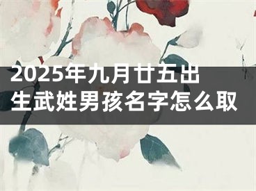 2025年九月廿五出生武姓男孩名字怎么取