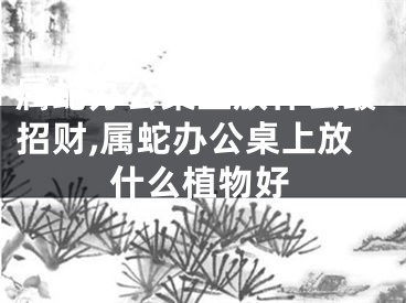 属蛇办公桌上放什么最招财,属蛇办公桌上放什么植物好