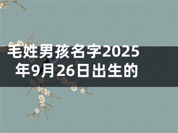 毛姓男孩名字2025年9月26日出生的