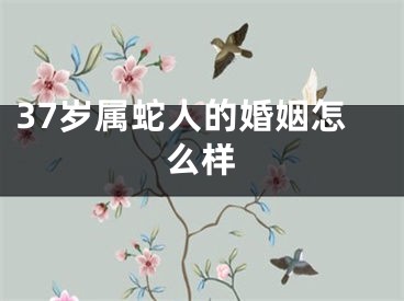 37岁属蛇人的婚姻怎么样