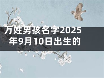 万姓男孩名字2025年9月10日出生的