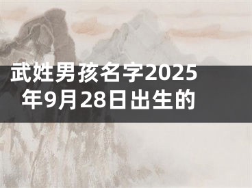 武姓男孩名字2025年9月28日出生的