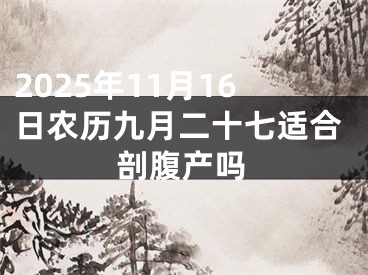2025年11月16日农历九月二十七适合剖腹产吗
