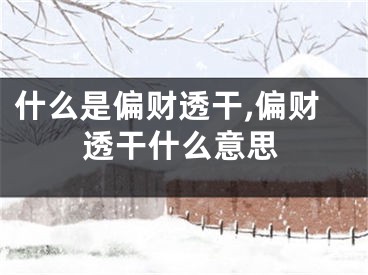 什么是偏财透干,偏财透干什么意思
