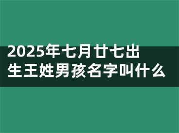 2025年七月廿七出生王姓男孩名字叫什么