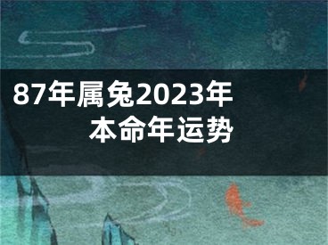 87年属兔2023年本命年运势