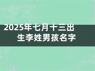 2025年七月十三出生李姓男孩名字