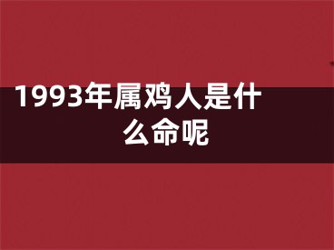 1993年属鸡人是什么命呢