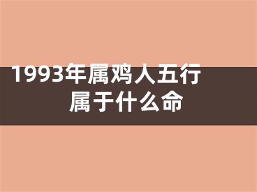 1993年属鸡人五行属于什么命