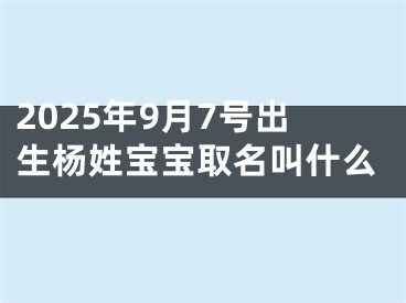 2025年9月7号出生杨姓宝宝取名叫什么