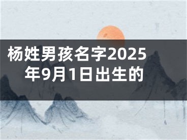 杨姓男孩名字2025年9月1日出生的