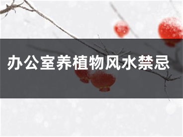 办公室养植物风水禁忌