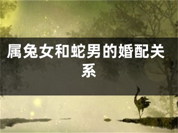 属兔女和蛇男的婚配关系