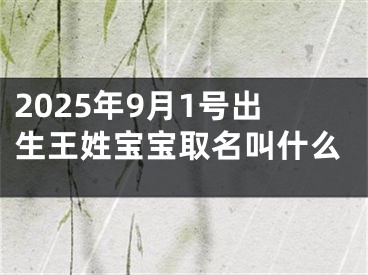 2025年9月1号出生王姓宝宝取名叫什么