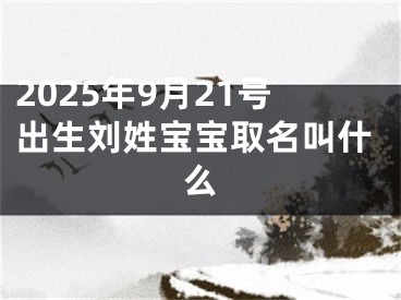 2025年9月21号出生刘姓宝宝取名叫什么