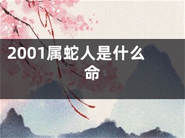 2001属蛇人是什么命