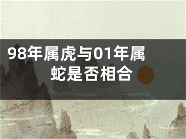 98年属虎与01年属蛇是否相合