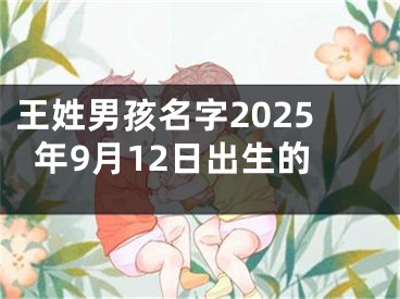 王姓男孩名字2025年9月12日出生的