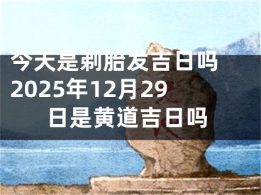 今天是剃胎发吉日吗 2025年12月29日是黄道吉日吗