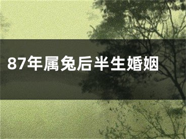 87年属兔后半生婚姻
