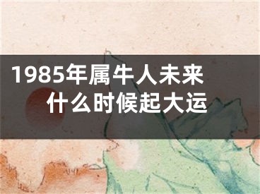1985年属牛人未来什么时候起大运