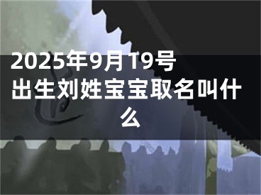 2025年9月19号出生刘姓宝宝取名叫什么
