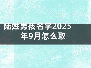 陆姓男孩名字2025年9月怎么取
