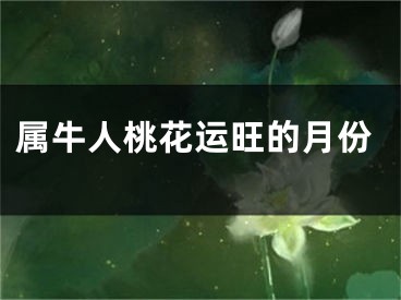 属牛人桃花运旺的月份
