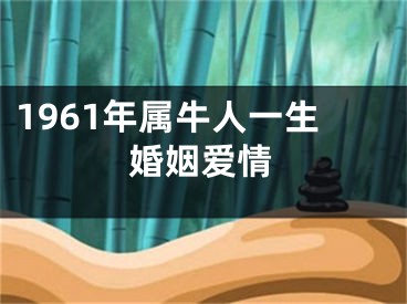 1961年属牛人一生婚姻爱情
