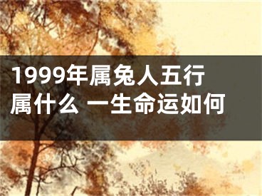 1999年属兔人五行属什么 一生命运如何