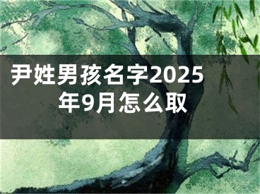 尹姓男孩名字2025年9月怎么取