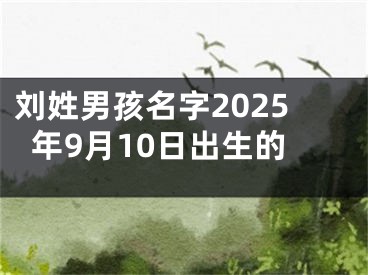 刘姓男孩名字2025年9月10日出生的