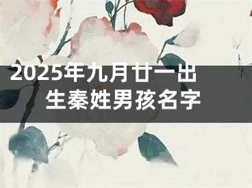2025年九月廿一出生秦姓男孩名字