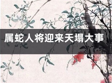 属蛇人将迎来天塌大事