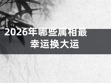 2026年哪些属相最幸运换大运