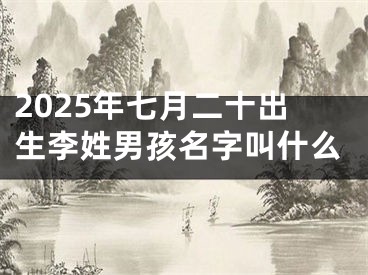 2025年七月二十出生李姓男孩名字叫什么