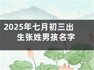 2025年七月初三出生张姓男孩名字