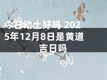 今日动土好吗 2025年12月8日是黄道吉日吗