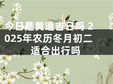 今日是黄道吉日吗 2025年农历冬月初二适合出行吗