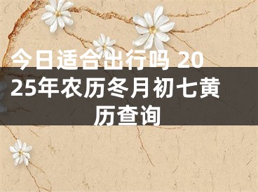 今日适合出行吗 2025年农历冬月初七黄历查询