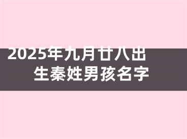 2025年九月廿八出生秦姓男孩名字
