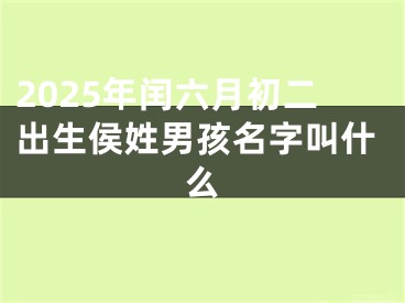 2025年闰六月初二出生侯姓男孩名字叫什么