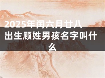 2025年闰六月廿八出生顾姓男孩名字叫什么