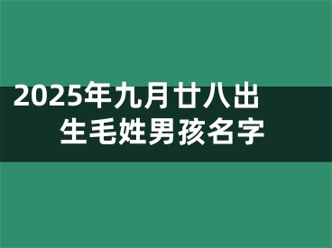 2025年九月廿八出生毛姓男孩名字