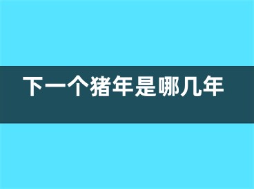下一个猪年是哪几年