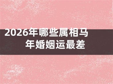2026年哪些属相马年婚姻运最差