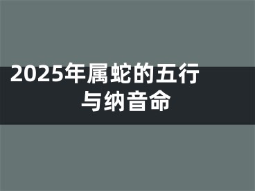 2025年属蛇的五行与纳音命