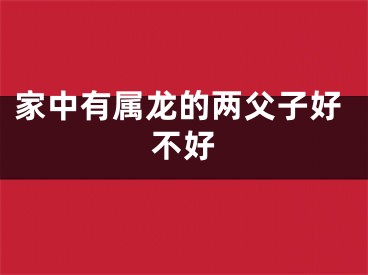 家中有属龙的两父子好不好