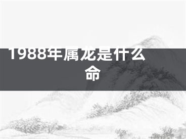 1988年属龙是什么命
