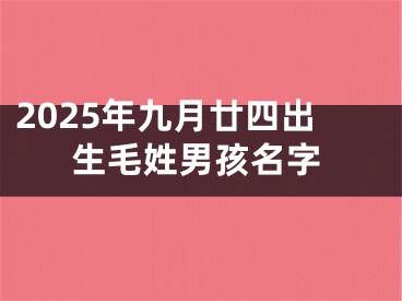 2025年九月廿四出生毛姓男孩名字